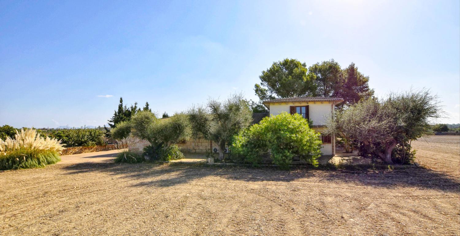 Ribas * Santa Margarita (Mallorca)