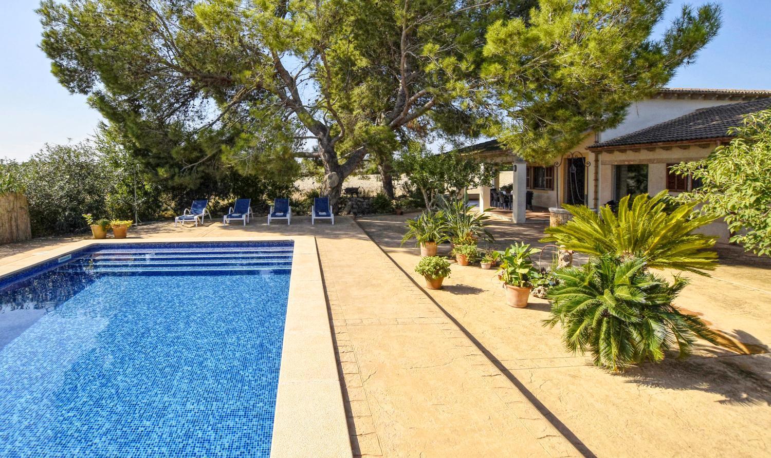 Ferienhaus Ribas *
